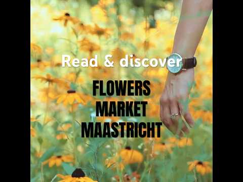 See FRIDAY FLOWER MARKET in Maastricht #maastricht #flowermarket #flowers