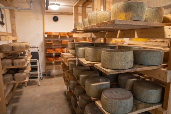 See Luxury Cheese Shops in Maastricht | Get Gouda!