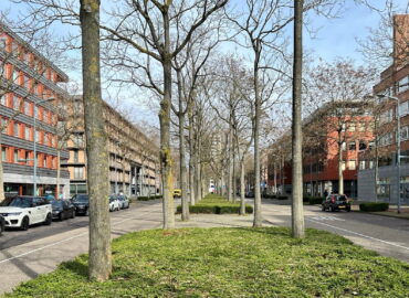 Avenue Ceramique in Maastricht | Ramblas of Limburg