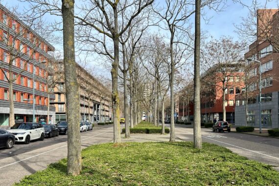 Avenue Ceramique in Maastricht | Ramblas of Limburg