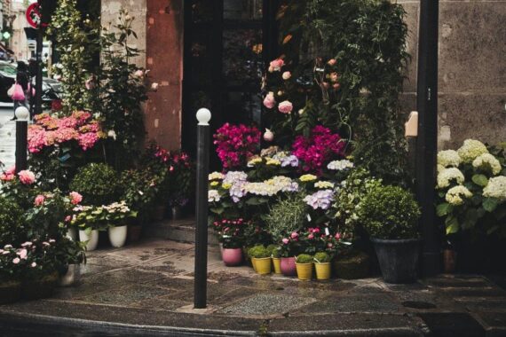 Flower shops in Maastricht | Let it flower!