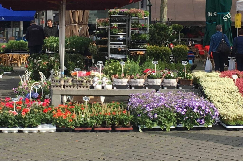 Friday Market Maastricht (‘Vrijdag-Markt’) | MAASTRICHT MAGAZINE | M+MAG