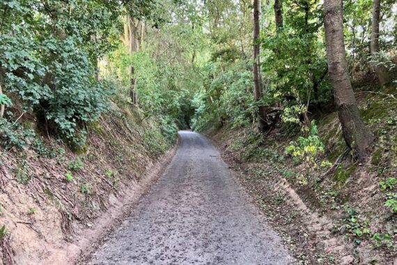 Take the right path! Go for “Holle Weg” or hollow way