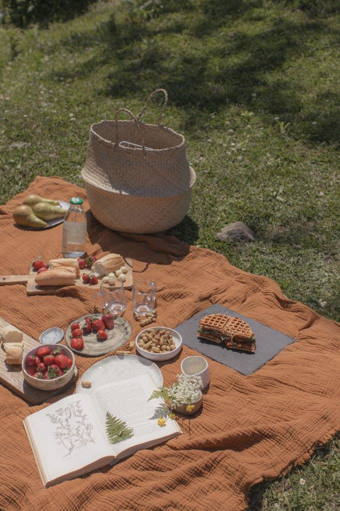 Picnic in Citypark Maastricht | MAASTRICHT MAGAZINE | M+MAG