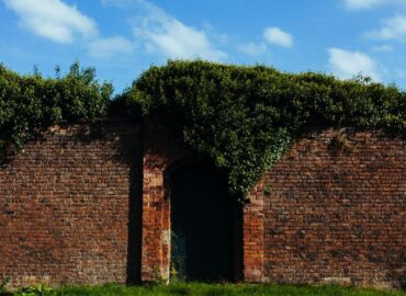 Secret Gardens of Maastricht | Hidden gems!